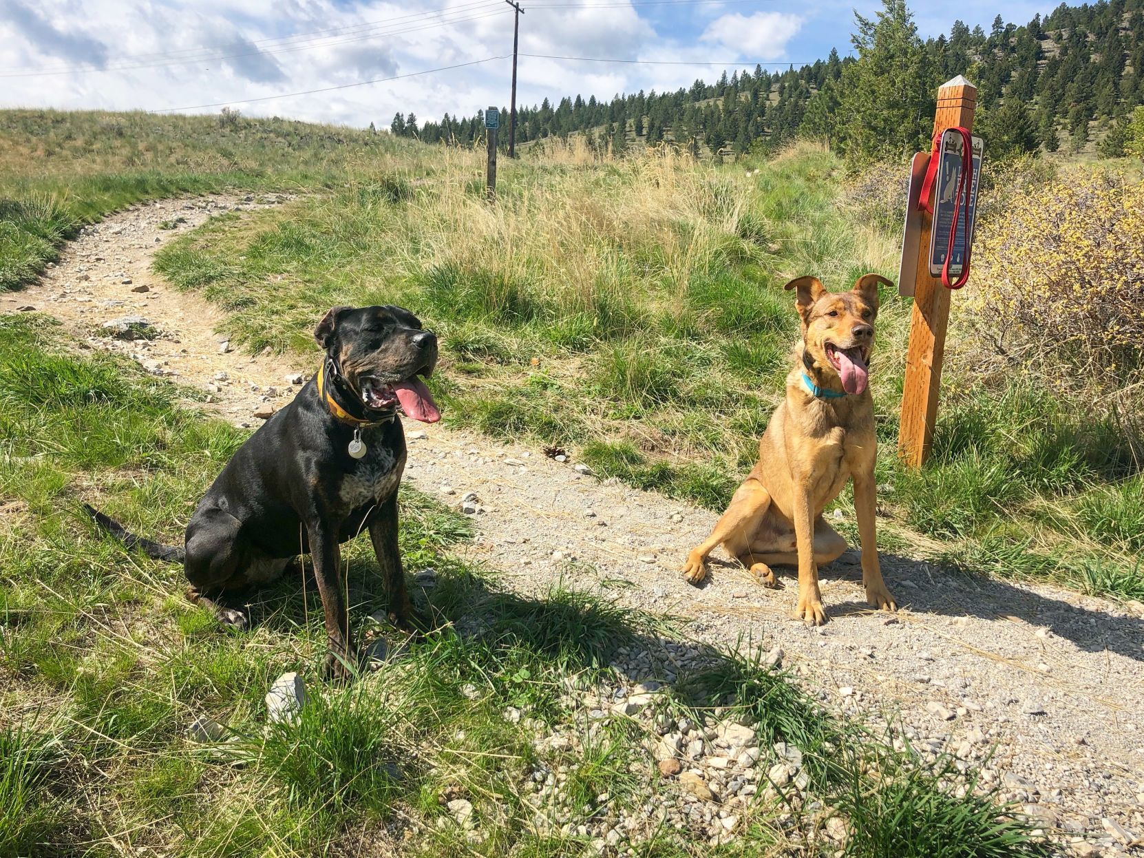 Mt. Helena trailhead
